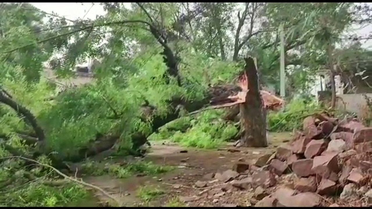 राजस्थान में यहां तूफान ने मचाई भयंकर तबाही, हवा में उड़कर तीसरी छत पर गिरा टावर, ताश के पत्तों की तरह गिरे पेड़ व पोल, मकानों में आई दरारें