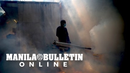 Disinfection against Covid-19 and Dengue prevention at MEC, Arroceros park