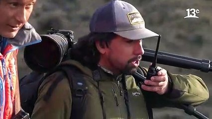 Encuentro con guanacos en Laguna Amarga _ Ruta 5