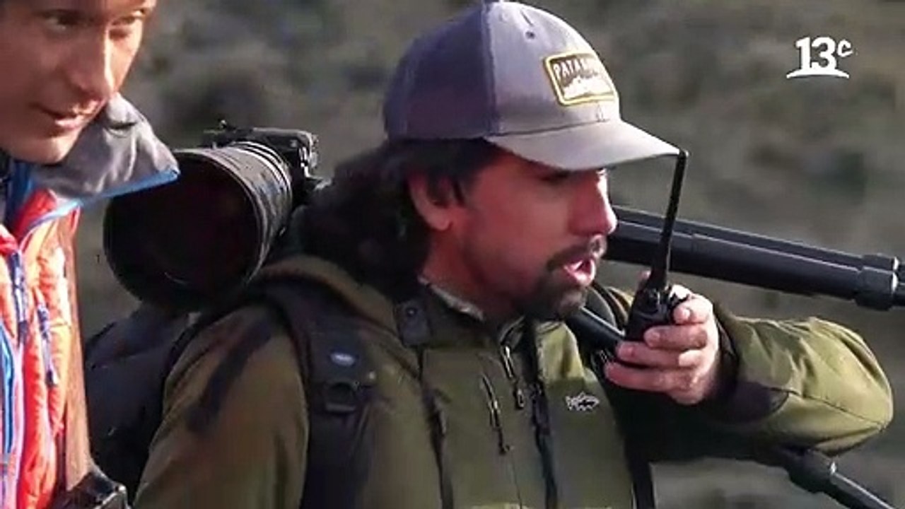 Encuentro con guanacos en Laguna Amarga _ Ruta 5