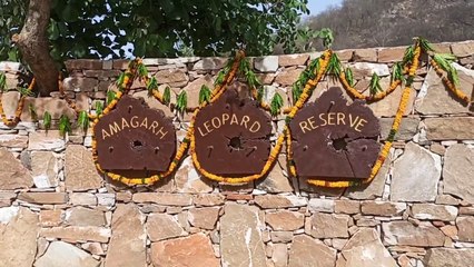 आमागढ़ में पैदा ना हो मानव और लेपर्ड के मध्य संघर्ष की स्थिति- गहलोत