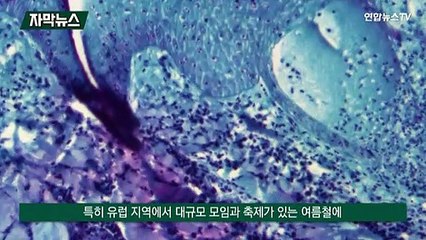 [자막뉴스] 원숭이 두창 비상…유럽·북미 이어 중동서도 발병