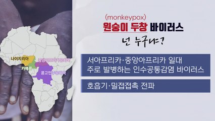 [뉴스큐] '원숭이 두창' 유럽도 뚫렸다...제2의 팬데믹 우려? / YTN