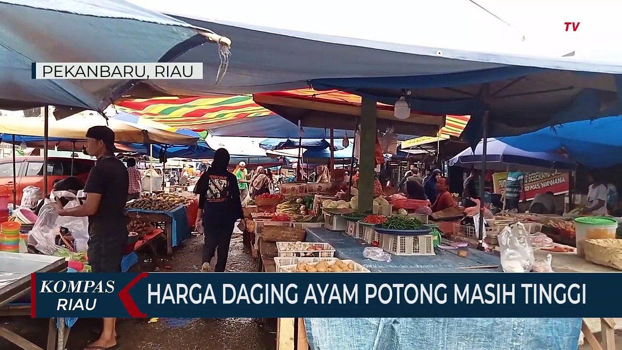Harga Daging Ayam Potong Masih Tinggi