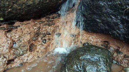 gurgling water in the rice fields, very suitable for calming the mind