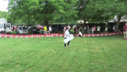 Kuzey Makedonya'da safkan olmayan köpekler sergilendi