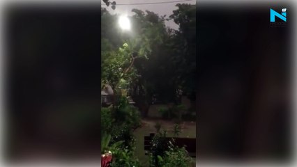 Delhi weather: Thunderstorm, rains bring down temperature in Delhi