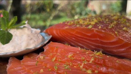 Gourmand - Gravlax au saumon