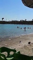 اصحى وفتح عينيك وشوف حلاوة البحر حواليك .. الغردقة تفتح النفس ساعة الصبحية ️