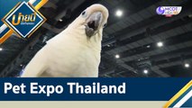 (คลิปเต็ม) Pet Expo Thailand |บ่ายนี้มีคำตอบ (23 พ.ค.65)