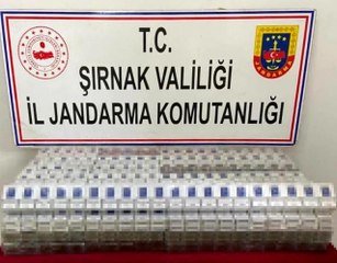 Şırnak'ta kaçakçılık ve asayiş operasyonu: 81 gözaltı