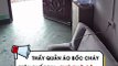 Thấy quần áo bốc cháy trên ghế sofa, chú chó có pha xử lý thông minh