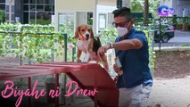 Dog-friendly park sa Taguig, pinuntahan ni Biyahero Drew! | Biyahe Ni Drew