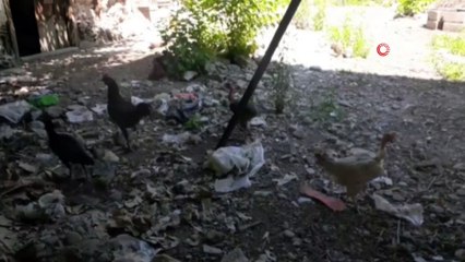 Göktaşı sanıp zengin oldum diye bağırdı ama bakın ne çıktı