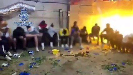 Polícia espanhola apreende 20.000 plantas de marijuana