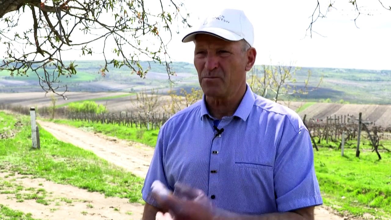 Moldaus Winzer haben sich von Russland abgenabelt