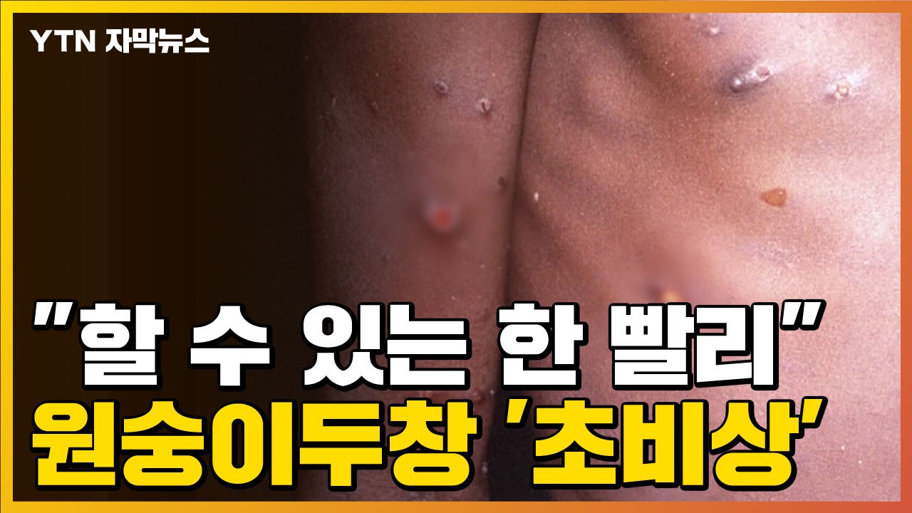 [자막뉴스] '원숭이두창' 전세계 동시다발적 발생...전문가들의 경고 / YTN