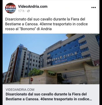 Incidente su cavallo, ricoverato ad Andria. Vai su videoandria.com/ per leggere la news