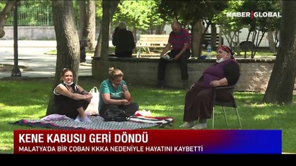 Kene kabusu geri döndü! Uzmanlar uyarıyor, bu seneki vakaların ölümcül kanama riski daha fazla!