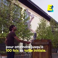 Ce robot capable de se faufiler n'importe où pourrait un jour sauver des vies