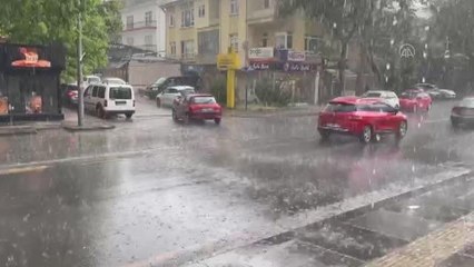 Başkentte kuvvetli fırtına nedeniyle ağaç devrildi (2)