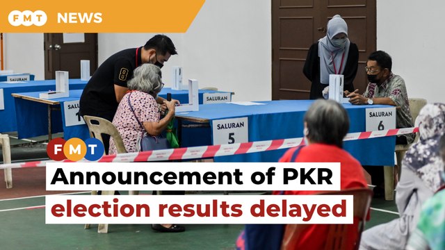 Voting for 8 PKR divisions to be held again