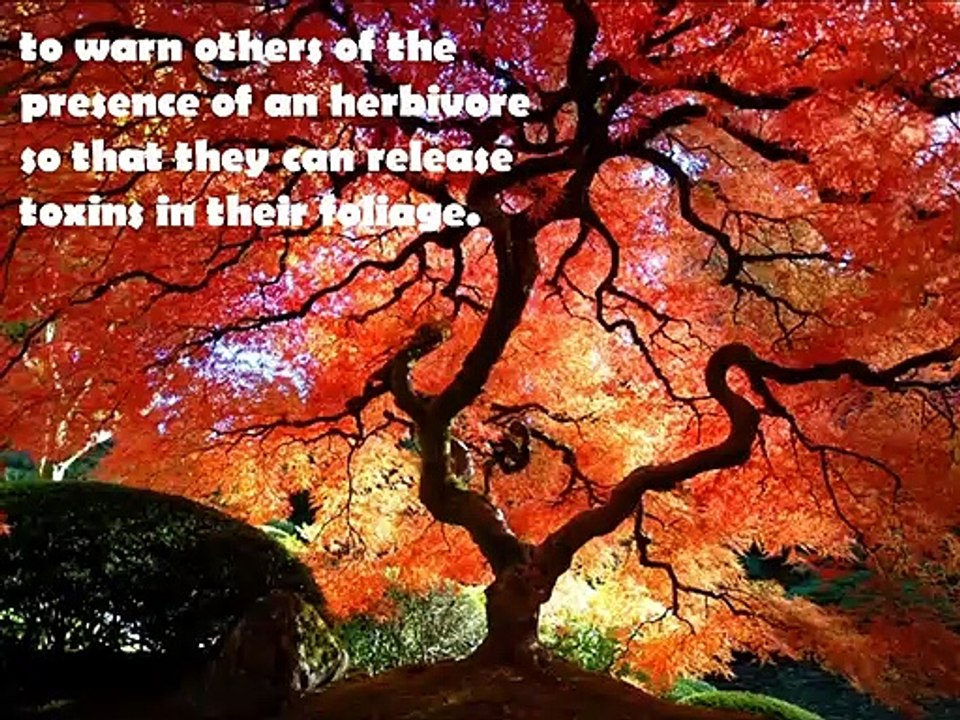 Science's 20 Most Unbelievable Truths