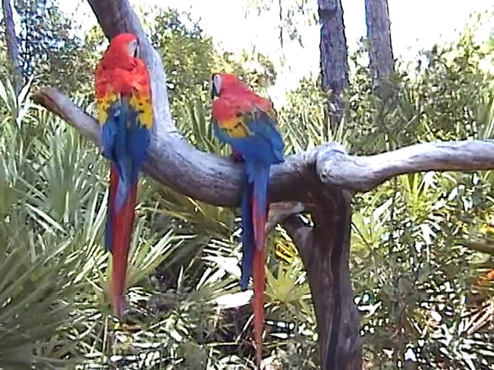 Brevard County Zoo (2001-07-28)