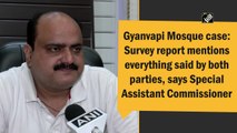 Gyanvapi survey report mentions everything said by both parties, says Special Assistant Commissioner