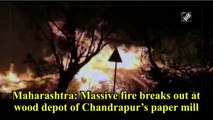 Maharashtra: Massive fire breaks out at wood depot of Chandrapur’s paper mill