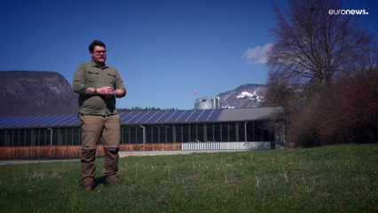 Madeira certificada, local e sustentável reduz as emissões de CO2