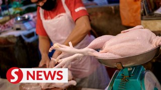 Chicken exports halted from June 1 to check supply, price issues