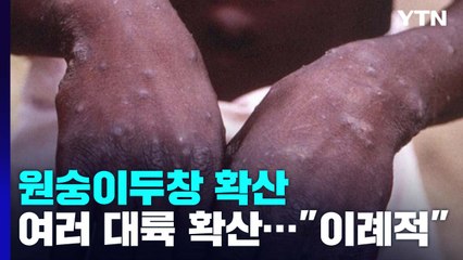 원숭이두창 여러 대륙으로 확산..."이례적 전파·감염경로 불분명" / YTN