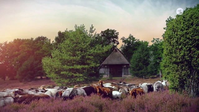 Rote Rosen Folge 3567