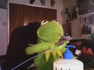 2girls1cup : la réaction de kermit