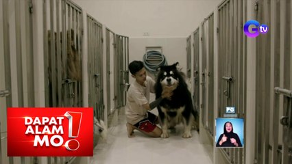 Pagkahilig sa mga hayop, puwede nang maging trabaho?| Dapat Alam Mo!