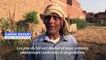 Egypte: face à la flambée des prix mondiaux, des agriculteurs misent sur le blé