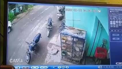 Vider sa vessie sur un tableau électrique... mauvaise idée