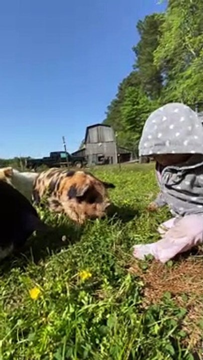 Baby Loves Her Piggies