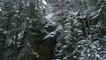 56.Okanagan Winter Forest - Snowfall 4K - Free HD Stock Footage - No Copyright