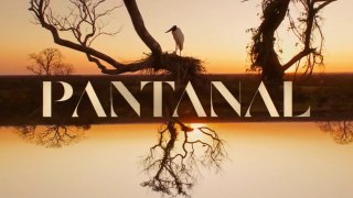 Pantanal 23 de abril Resumo Novela Pantanal
