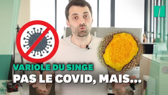 Les liens entre variole du singe et Covid ne sont pas ceux auxquels vous pensez