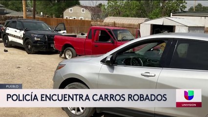 Policía encuentra carros robados