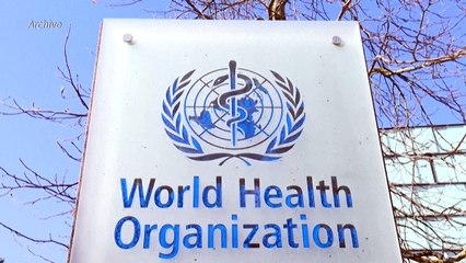 Riesgo de contagio de viruela del mono es "muy bajo"