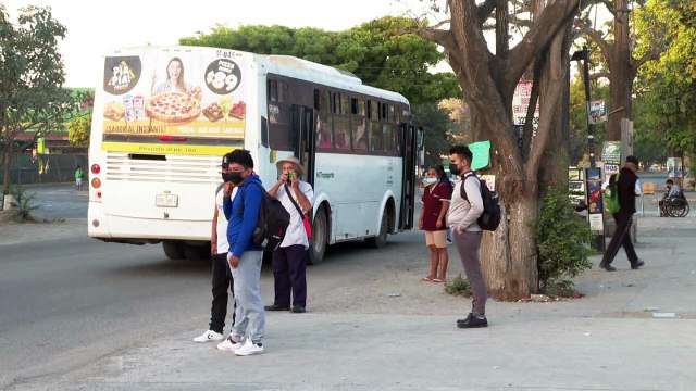 Transporte público de Vallarta tendrá internet gratis: UNIBUS | CPS Noticias Puerto Vallarta