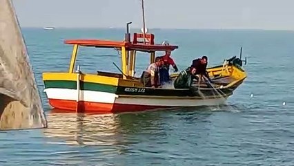 Pescadores celebram a captura de tainhas