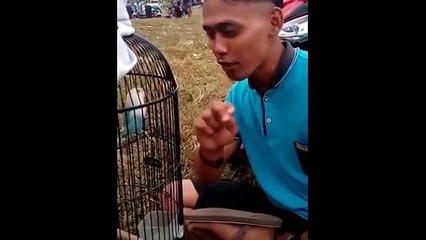 VIDEO LUCU TERBARU 2022 TAHAN TAWA TERBARU_FUNNY VIDEOS