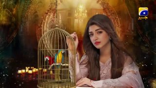 Dil Awaiz Episode 21 | 23 May 2022 | HAR PAL GEO Drama