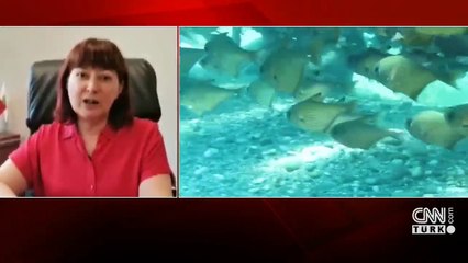 "Balık türlerinin %10'u yok olacak"