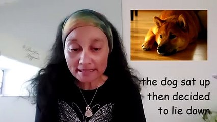 Project Difference between Lie & Lay